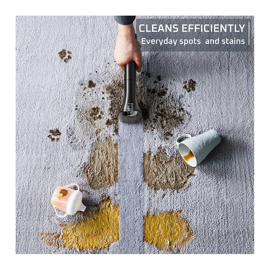 Rowenta Usisivač za dubinsko čišćenje IN5012F0 Clean